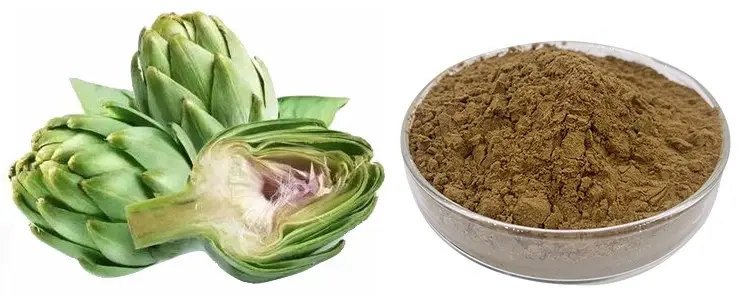 Pure Artichoke Extract Powder Pure Artichoke Extract Powder