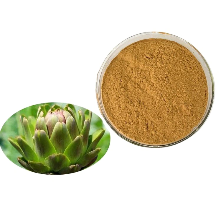 Benefits Of Artichoke Extract Benefits Of Artichoke Extract