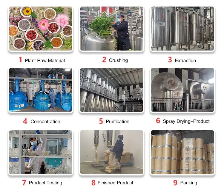 Pure Chitosan Powder Details