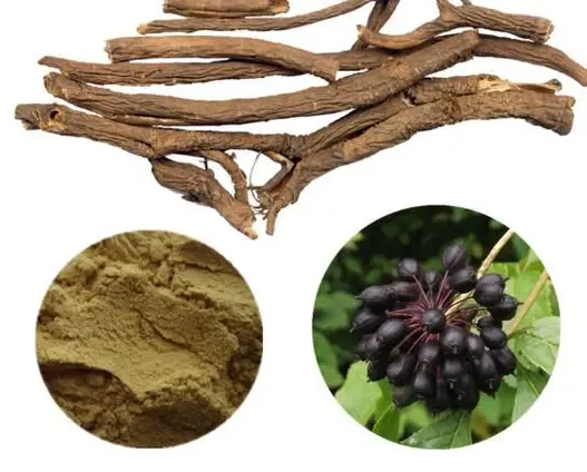 siberian ginseng extract