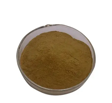Wild Jujube Seed Extract Wild Jujube Seed Extract
