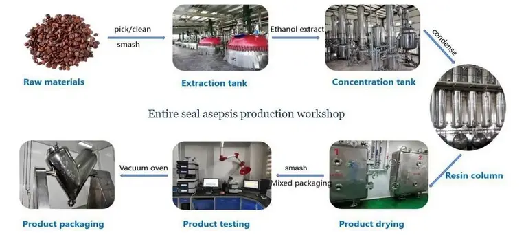 Jujube Seed Extract flow Jujube Seed Extract flow