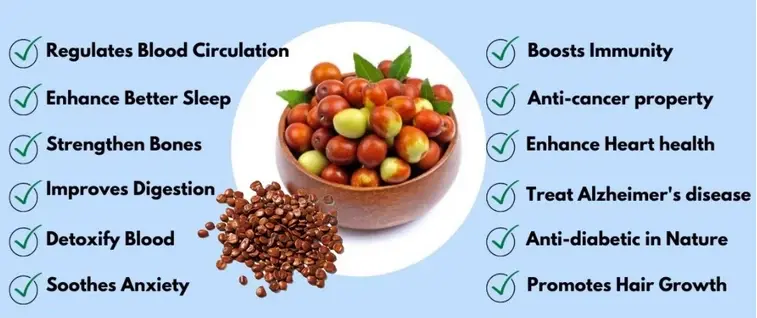 Jujube seed extract benefits Jujube seed extract benefits