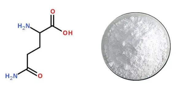 High Quality L-Glutamine Powder