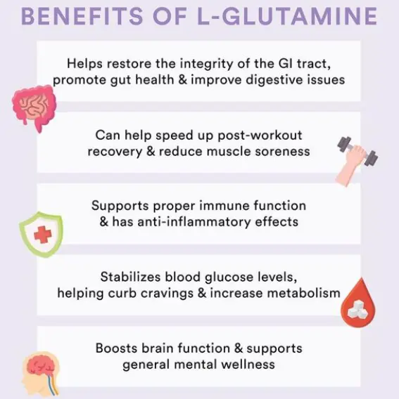 L- Glutamine Powder Benefits