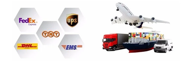 High Quality L-Glutamine Powder Delivery Methods