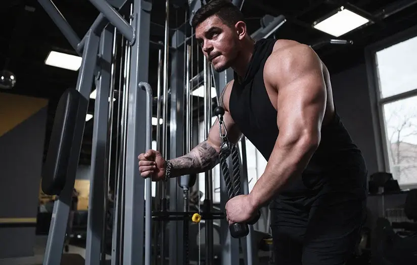 ajuga for bodybuilding ajuga for bodybuilding