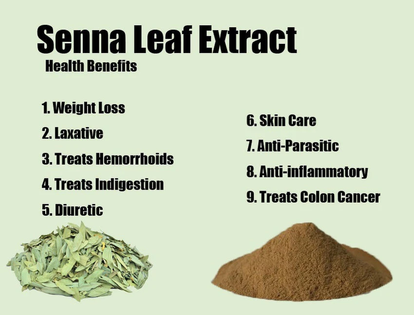 Senna Leaf Extract Powder Benefits