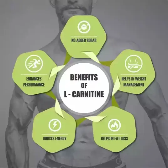 L-carnitine benefits 