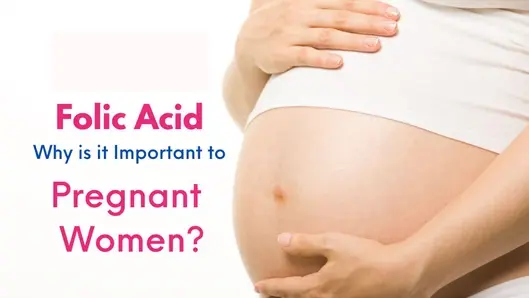 How Important Is Folic Acid During Pregnancy How Important Is Folic Acid During Pregnancy 