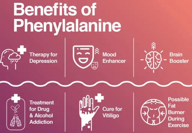 L-Phenylalanine Powder Benefits L-Phenylalanine Powder Benefits