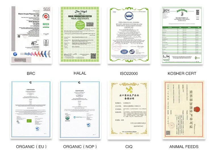 certifications