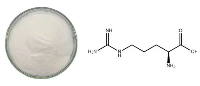 L-Arginine Protein Powder L-Arginine Protein Powder
