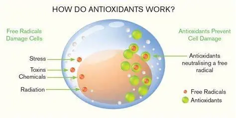 Anti- Oxidizing Effect Anti- Oxidizing Effect
