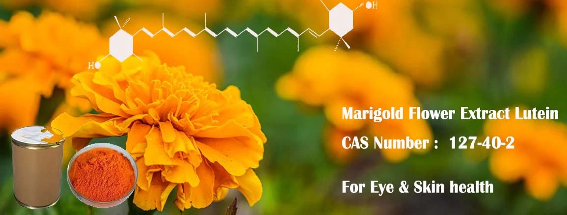 Marigold Flower Extract Lutein, Lutein, CAS 127-40-20 Marigold Flower Extract Lutein, Lutein, CAS 127-40-20