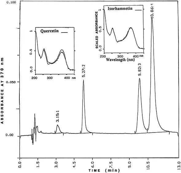Bioavailability of rutin and quercetin Bioavailability of rutin and quercetin