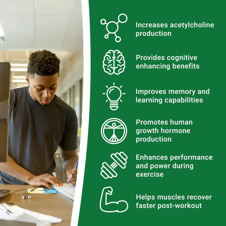 Alpha GPC Powder Benefits Alpha GPC Powder Benefits