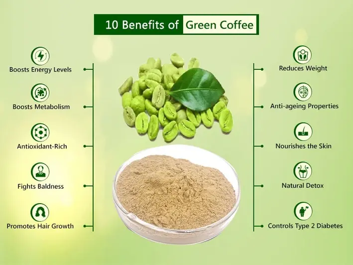 Green Coffee Bean Extract Benefits