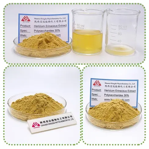 Hericium erinaceus extract Hericium erinaceus extract