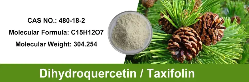 dihydroquercetin, Taxifolin dihydroquercetin, Taxifolin