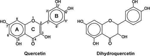 Comparison of quercetin and Dihydroquercetin Comparison of quercetin and Dihydroquercetin