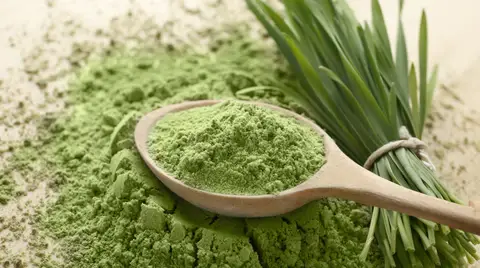 Buy Organic Raw Barley Grass Powder Buy Organic Raw Barley Grass Powder