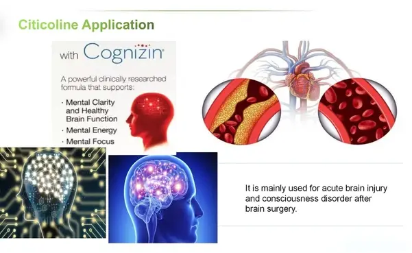 Use Of Citicoline Use Of Citicoline