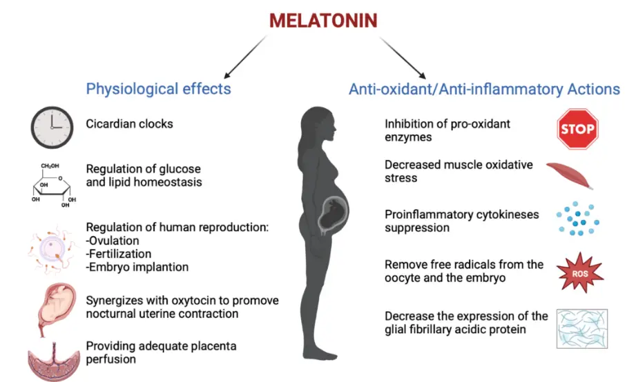 Melatonin powder benefits Melatonin powder benefits
