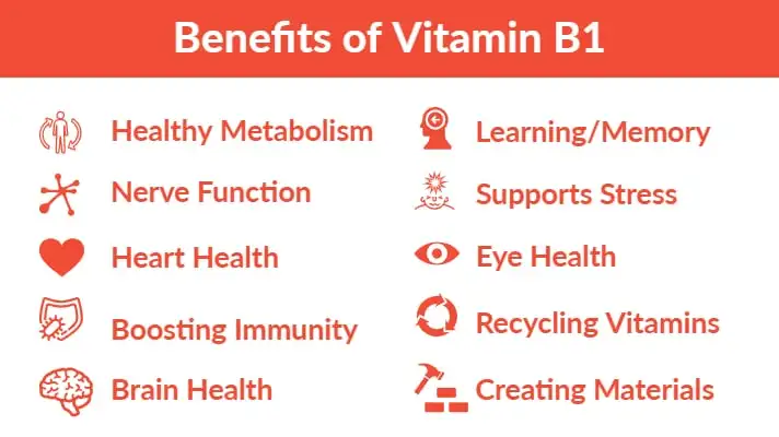 Vitamin B1 benefits Vitamin B1 benefits