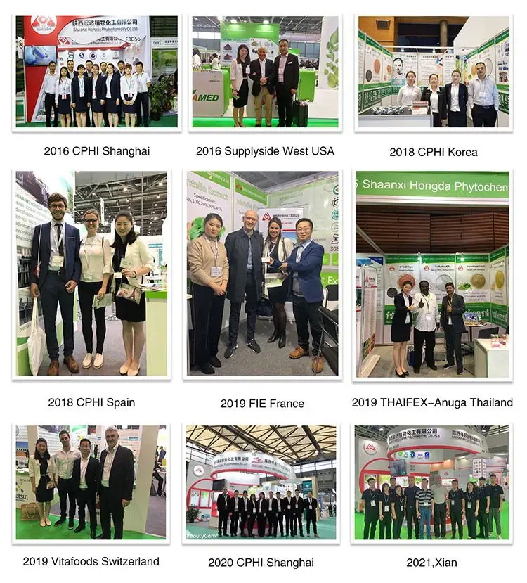 Exhibitions Exhibitions