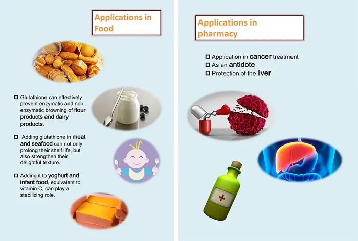 L-Glutathione uses L-Glutathione uses