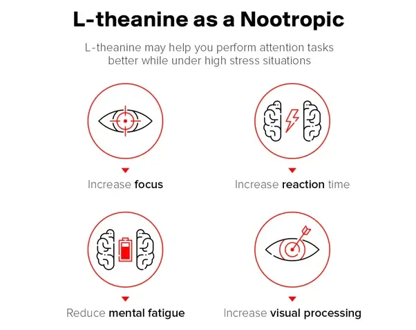 L-Theanine for memory