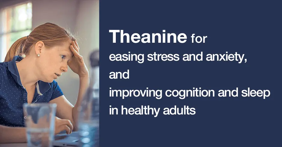 theanine for lowing stress and anxiety