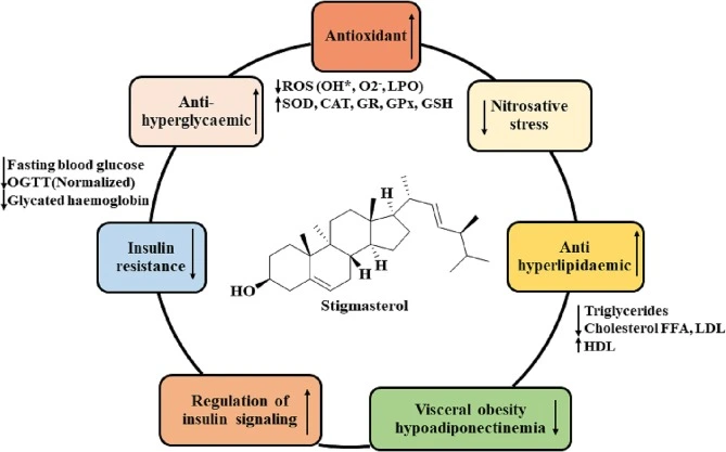 Stigmasterol benefits