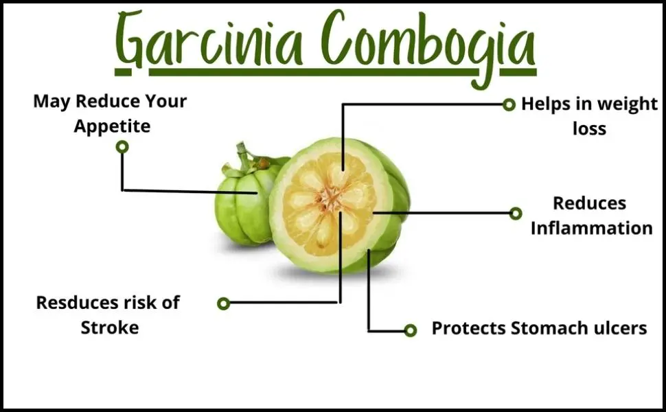 garcinia cambogia extract health benefits