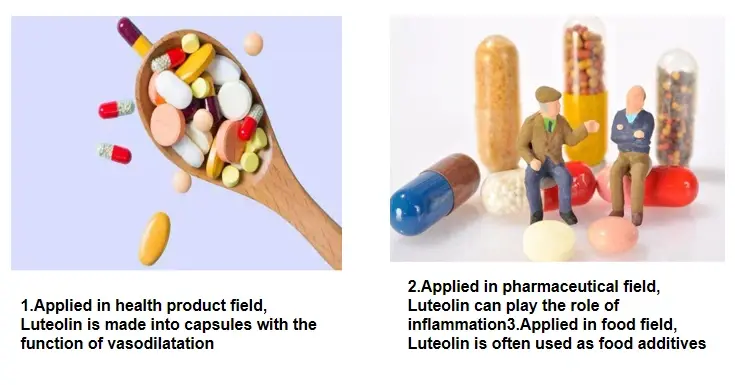 Pure Luteolin Powder Applications: