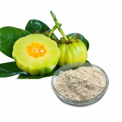 pure garcinia cambogia powder pure garcinia cambogia powder