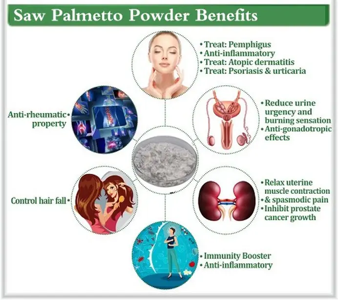 saw palmetto extract benefits saw palmetto extract benefits