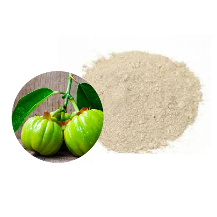 garcinia cambogia extract garcinia cambogia extract