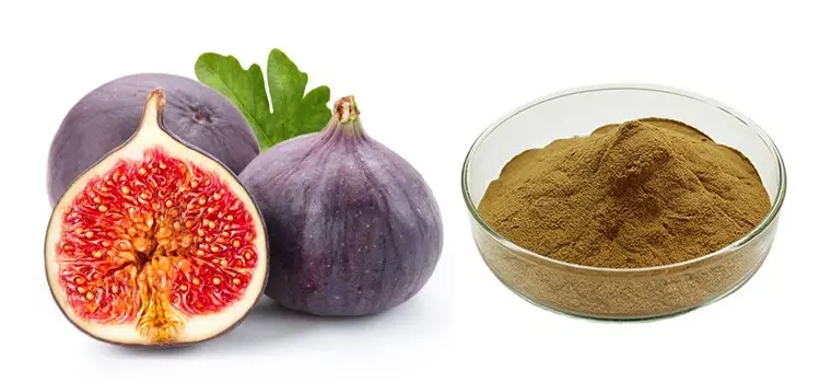 Fig Extract 