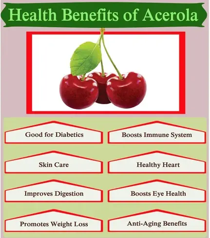 Acerola extract benefits