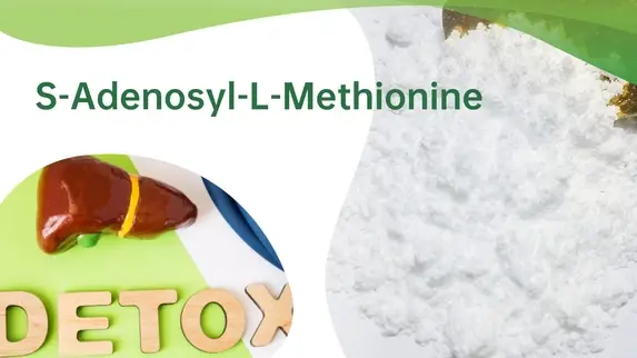 S-Adenosyl-L-Methionine Powder S-Adenosyl-L-Methionine Powder