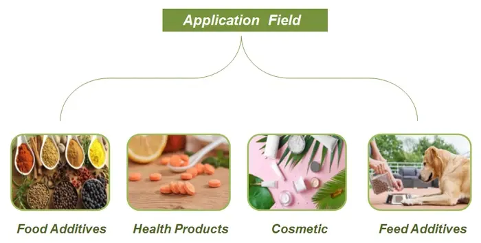 Cranberry powder uses