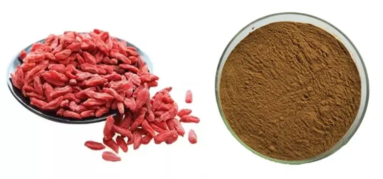 Wolfberry Extract 