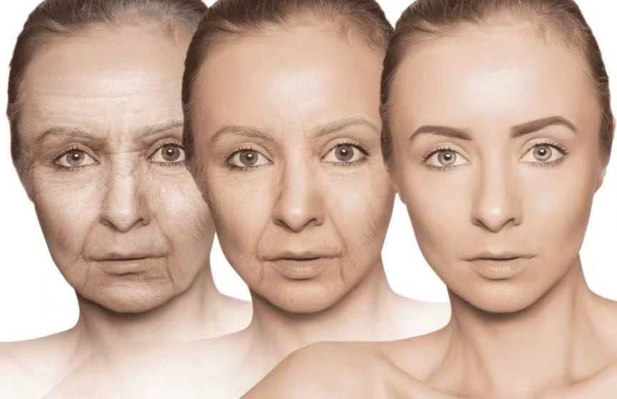 Anti-Aging Effects Of Urolithin A Powder