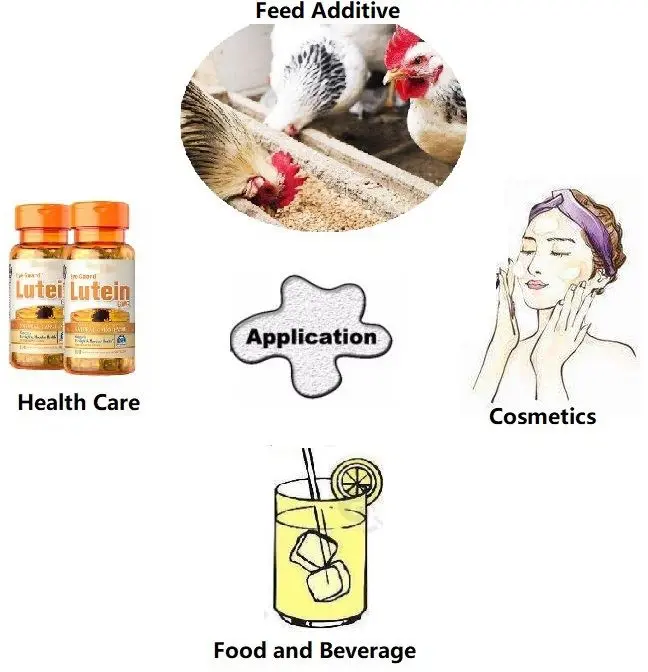 China Natural Zeaxanthin Powder 5% 10% 20% 50% Factory, Manufacturers, Supplier and Producer - Products - Xi'an Healthful Biotechnology Co.,Ltd China Natural Zeaxanthin Powder 5% 10% 20% 50% Factory, Manufacturers, Supplier and Producer - Products - Xi'an Healthful Biotechnology Co.,Ltd
