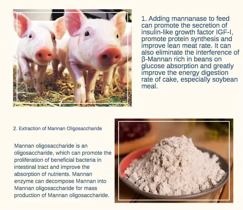 Mannanase Feed Addition 