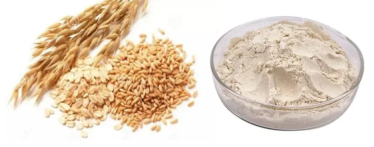 Oat Seed Extract Oat Seed Extract