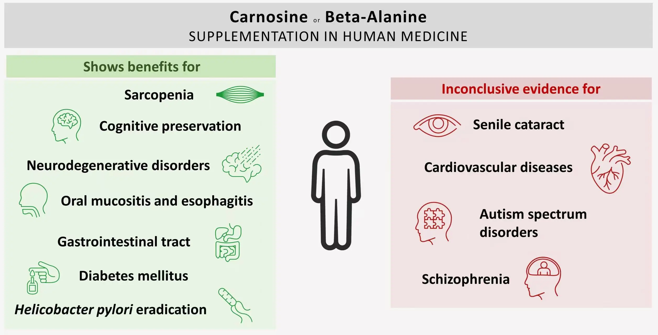 L-Carnosine powder