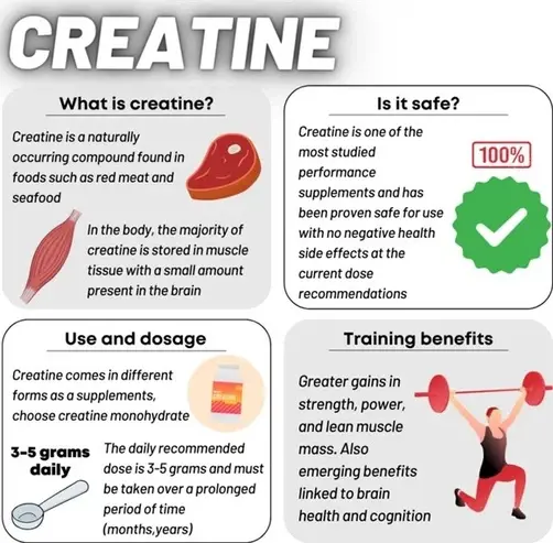 micronized creatine monohydrate benefits